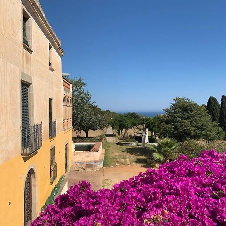 B&B Can Casadella Premia De Dalt Eksteriør billede